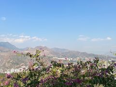-攀枝花公园
