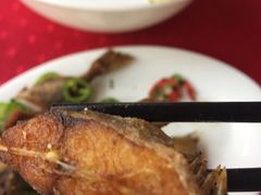 -蛇口康乐快餐鱼仔档(翠苑小区店)