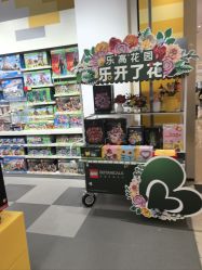 -乐高授权专卖店(华采天地店)