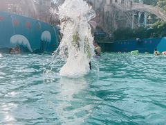 -平湖九龙山乐满地水上乐园