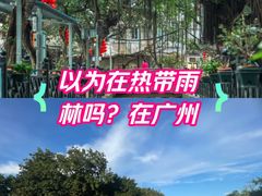 -小洲村