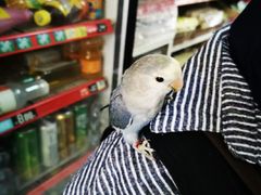 -舟山希尔顿酒店