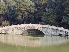 -铁山坪森林公园