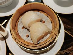 -华庭(澳门伦敦人店)