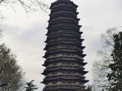 -红梅公园