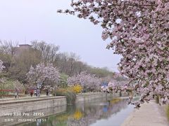 -海棠花溪(元大都城垣遗址公园)