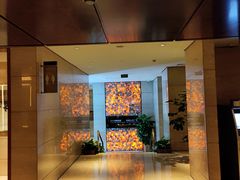 -北京朝阳悠唐皇冠假日酒店