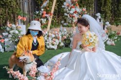 点击看大图 -Sunny喜铺婚礼定制·求婚策划