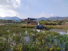 -盈香心动乐园
