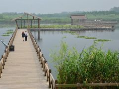 -溱湖国家湿地公园