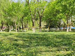 -石家庄市植物园