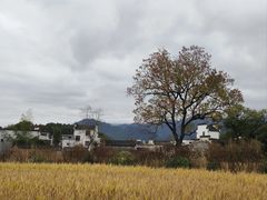 -塔川景区