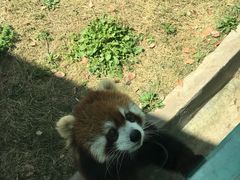 -无锡动物园·太湖欢乐园