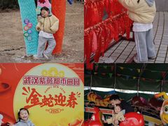 -武汉紫薇都市田园