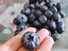 -上海龙吴水胜海发市场