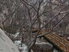 -北京凤凰岭