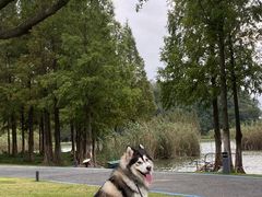 -东钱湖旅游度假区