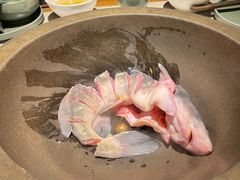 鲜潭蒸汽石锅江团鱼-鲜潭蒸汽石锅鱼(五道口购物中心店)