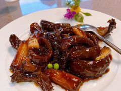 葱烧海参-泰丰楼(前门西大街店)