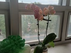 -琴芳艺所艺术培训.古筝钢琴