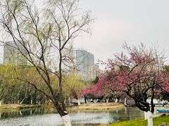 -天鹅湖体育公园