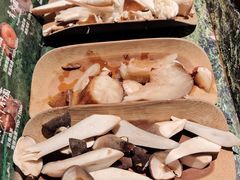 -芸山季·云南山珍菌火锅(人民广场来福士店)