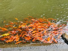 -刘伯温故里景区百丈漈
