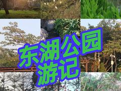 -东湖公园
