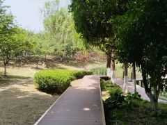 -太子山公园(园东路)