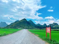 -靖西鹅泉风景区
