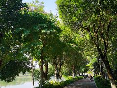 -怡海公园(桂城街道)