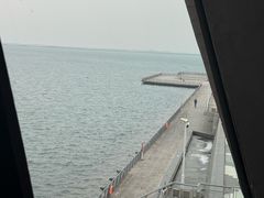 -抱抱地球咖啡馆(国家海洋博物馆店)