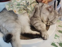 -小时光咖啡馆(北锣鼓巷店)