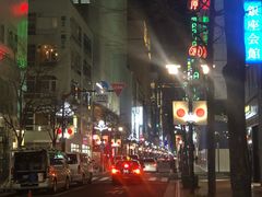 -俺的焼肉(銀座9丁目店)