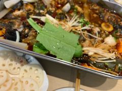 -鱼酷活鱼烤鱼(沈阳大悦城店)