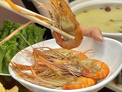 -金龙·打边炉(南京西路店)