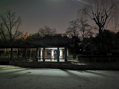 -团结湖公园