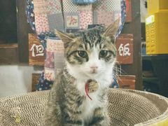 -美乐食街(小南店)