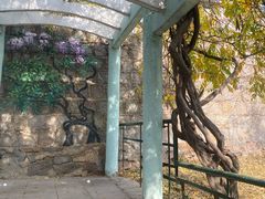-观象山公园