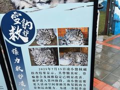 -青藏高原野生动物园