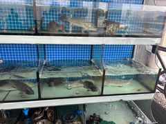 -阿伍海鲜大排档(塔湾金沙店)