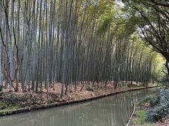 -同里国家湿地公园