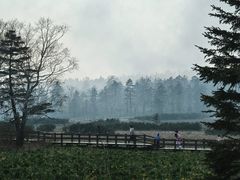 -凤凰山国家森林公园