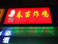 -春苗炸鸡