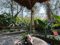 -大象粑粑造纸公园