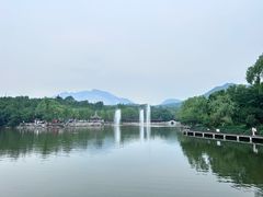 -北宫国家森林公园