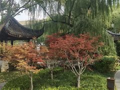 -君庭中餐厅(友谊宾馆店)