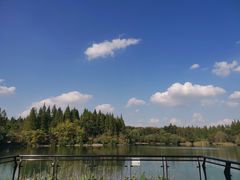 -东平国家森林公园