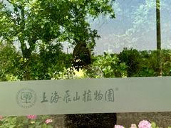 -上海辰山植物园