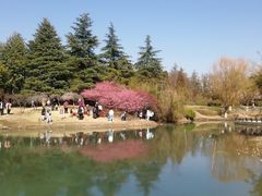 -白塘生态植物园